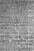 Wasserzeichen DE5025-Math01_11