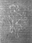 Wasserzeichen DE5025-Math01_17