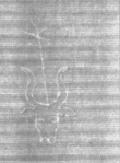 Wasserzeichen DE5025-Math01_47