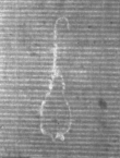 Wasserzeichen DE5025-Math01_69
