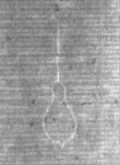 Wasserzeichen DE5025-Math01_84