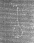 Wasserzeichen DE5025-Math01_86