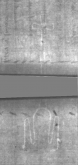 Wasserzeichen DE5025-Philol3_3