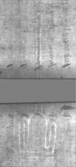 Wasserzeichen DE5025-Philol3_6