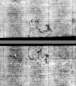 Wasserzeichen DE5580-4Muspr123_1Cantus_c3