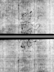 Wasserzeichen DE5580-4Muspr123_1Altus_K1
