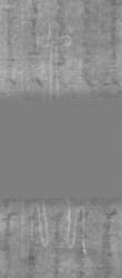 Wasserzeichen DE5025-Philol3_78
