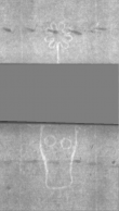 Wasserzeichen DE5025-Philol3_170