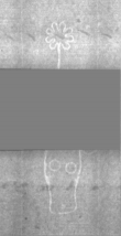 Wasserzeichen DE5025-Philol3_184