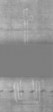 Wasserzeichen DE5025-Philol3_217