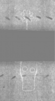 Wasserzeichen DE5025-Philol3_253