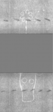 Wasserzeichen DE5025-Philol3_270