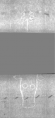 Wasserzeichen DE5025-Philol3_280