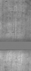 Wasserzeichen DE5025-Philol3_314