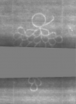Wasserzeichen DE5025-Philol3_I