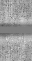 Wasserzeichen DE5025-Philol9_18
