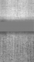 Wasserzeichen DE5025-Philol10_14