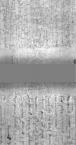 Wasserzeichen DE5025-Philol10_18