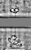 Wasserzeichen DE5580-Cgm9647_61