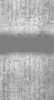 Wasserzeichen DE5025-Philol10_23
