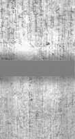 Wasserzeichen DE5025-Philol10_26
