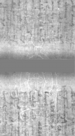 Wasserzeichen DE5025-Philol10_37
