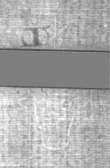 Wasserzeichen DE5025-Philol15_118