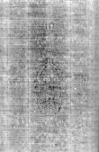 Wasserzeichen DE5580-Rar291_8