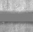 Wasserzeichen DE5025-Philol15_192