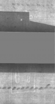 Wasserzeichen DE5025-Philol13_4