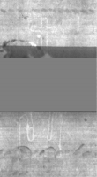 Wasserzeichen DE5025-Philol13_5
