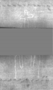 Wasserzeichen DE5025-Philol13_38