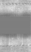 Wasserzeichen DE5025-Philol13_61