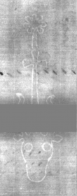 Wasserzeichen DE5025-Philol13_109