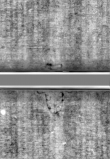 Wasserzeichen DE5580-Rar4180_E2