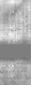 Wasserzeichen DE5025-Philol13_133