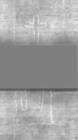 Wasserzeichen DE5025-Philol13_151