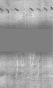 Wasserzeichen DE5025-Philol13_160