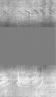 Wasserzeichen DE5025-Philol13_219