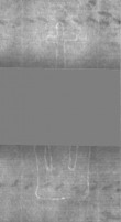 Wasserzeichen DE5025-Philol13_248