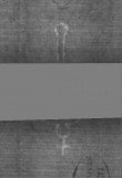 Wasserzeichen DE5025-Philol16_1