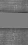 Wasserzeichen DE5025-Philol16_4