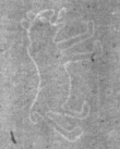 Wasserzeichen DE8100-Cod.Don.497_1