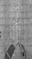 Wasserzeichen DE8100-Cod.Don.575_36