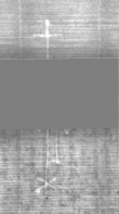 Wasserzeichen DE5025-Philol16_73
