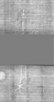 Wasserzeichen DE5025-Philol16_75