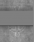 Wasserzeichen DE5025-Philol16_154