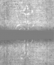 Wasserzeichen DE5025-Philol16_186