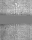 Wasserzeichen DE5025-Philol16_190