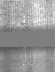 Wasserzeichen DE5025-Philol16_246